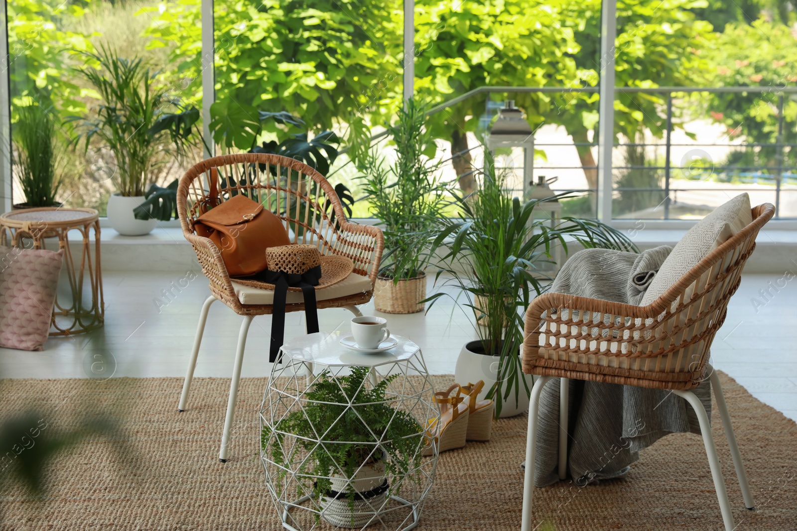 Photo of Indoor terrace interior with elegant furniture and houseplants