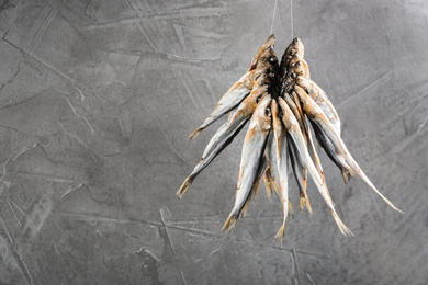 Dried fish hanging on rope against grey background, space for text