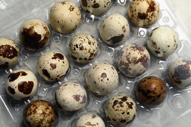 Photo of Plastic container with speckled quail eggs on table, top view