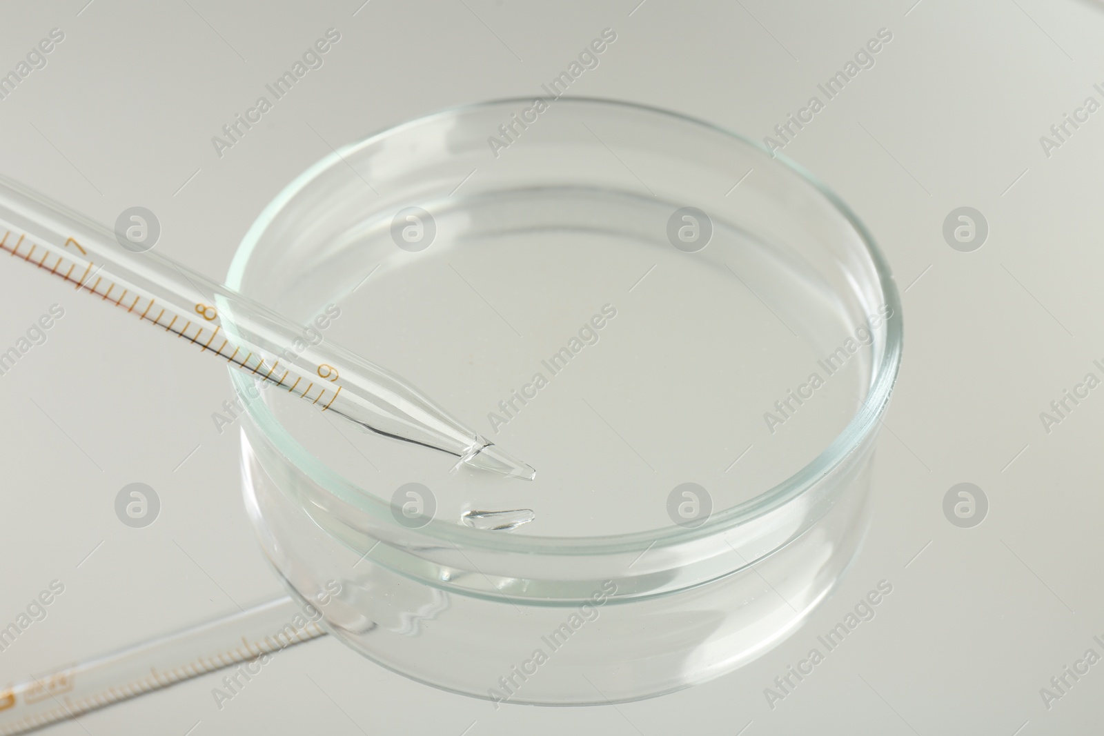 Photo of Petri dish and pipette with liquid sample on mirror surface, closeup