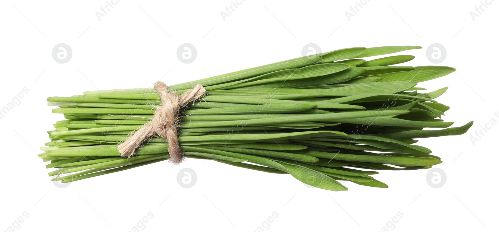 Photo of Bunch of fresh wheat grass sprouts isolated on white