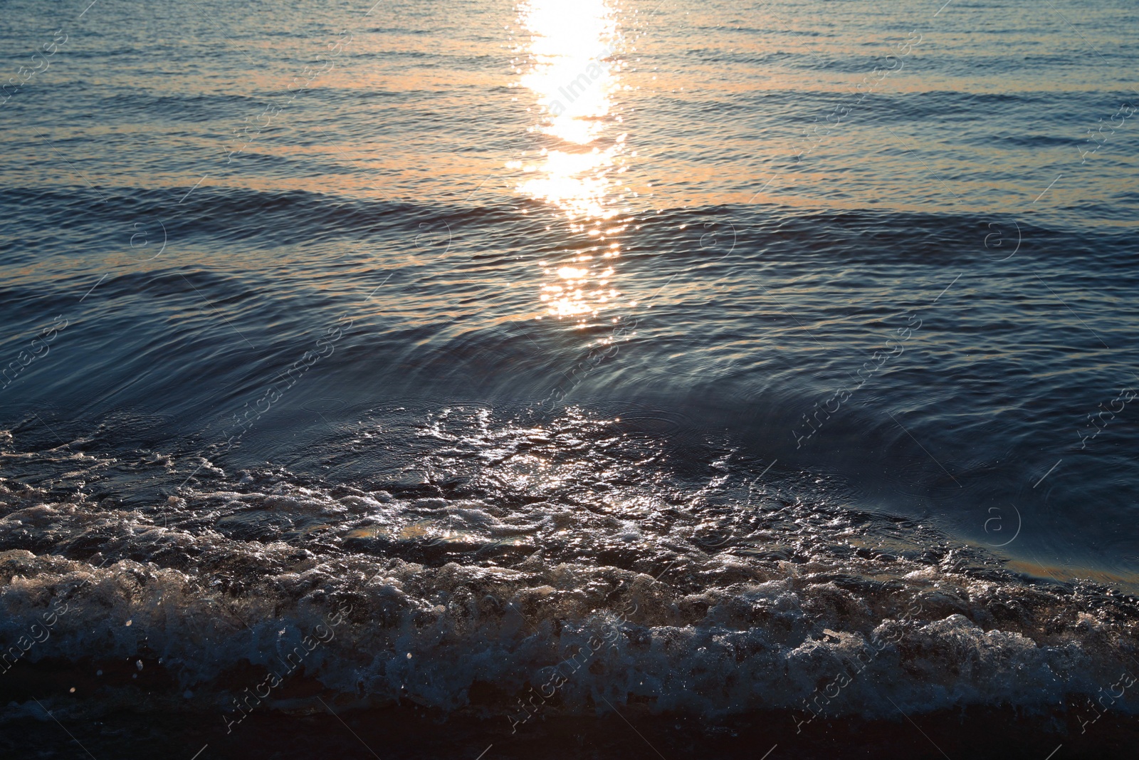 Beautiful sea wave at sunset as background Photo of Beautiful sea wave at sunset as background