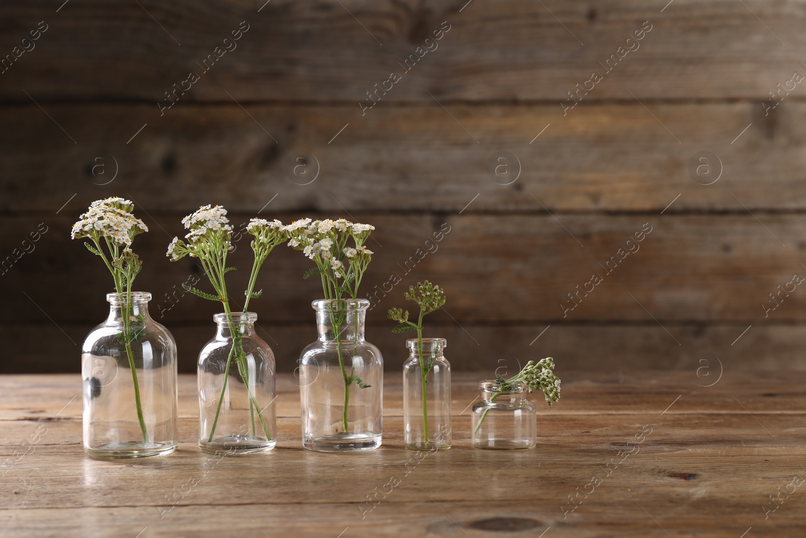 Photo of Yarrow flowers in glass bottles on wooden table, space for text