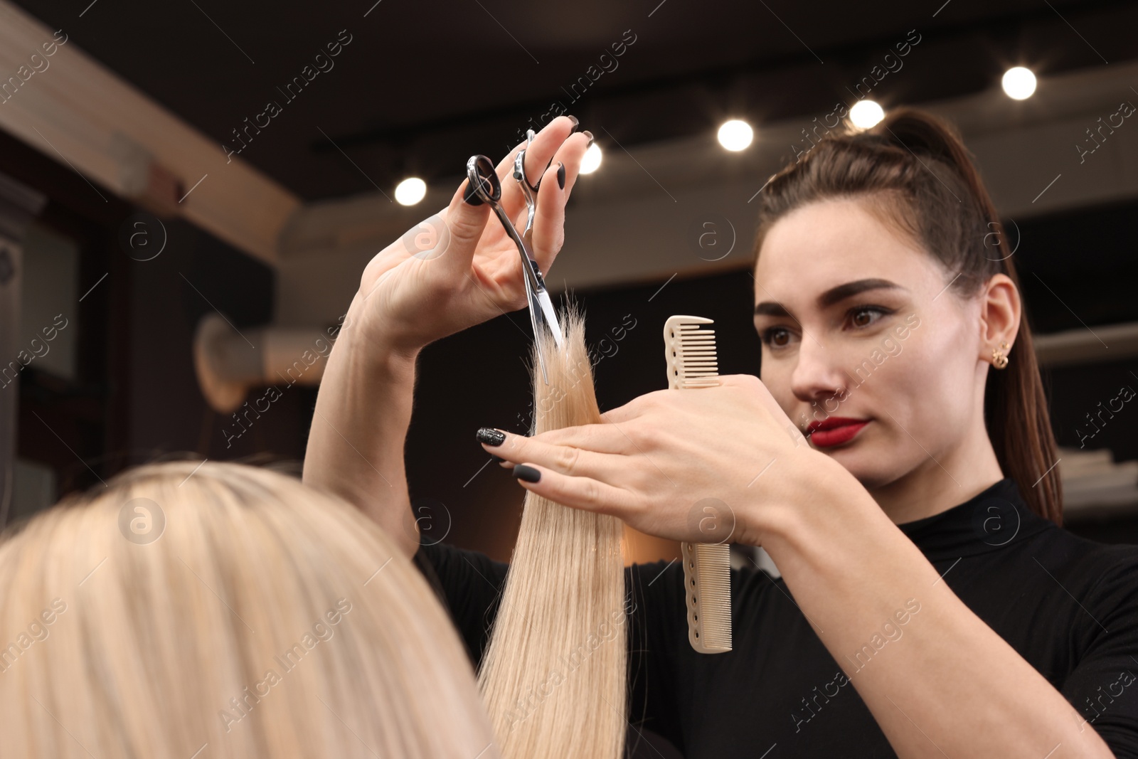 Photo of Professional hairdresser cutting woman's hair in salon