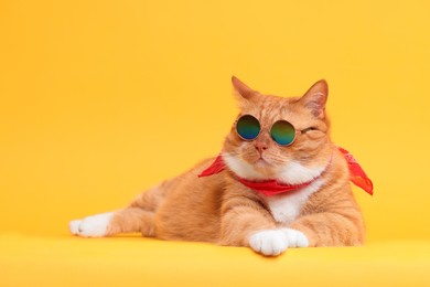 Photo of Cute ginger cat in stylish sunglasses and bandana on yellow background. Space for text