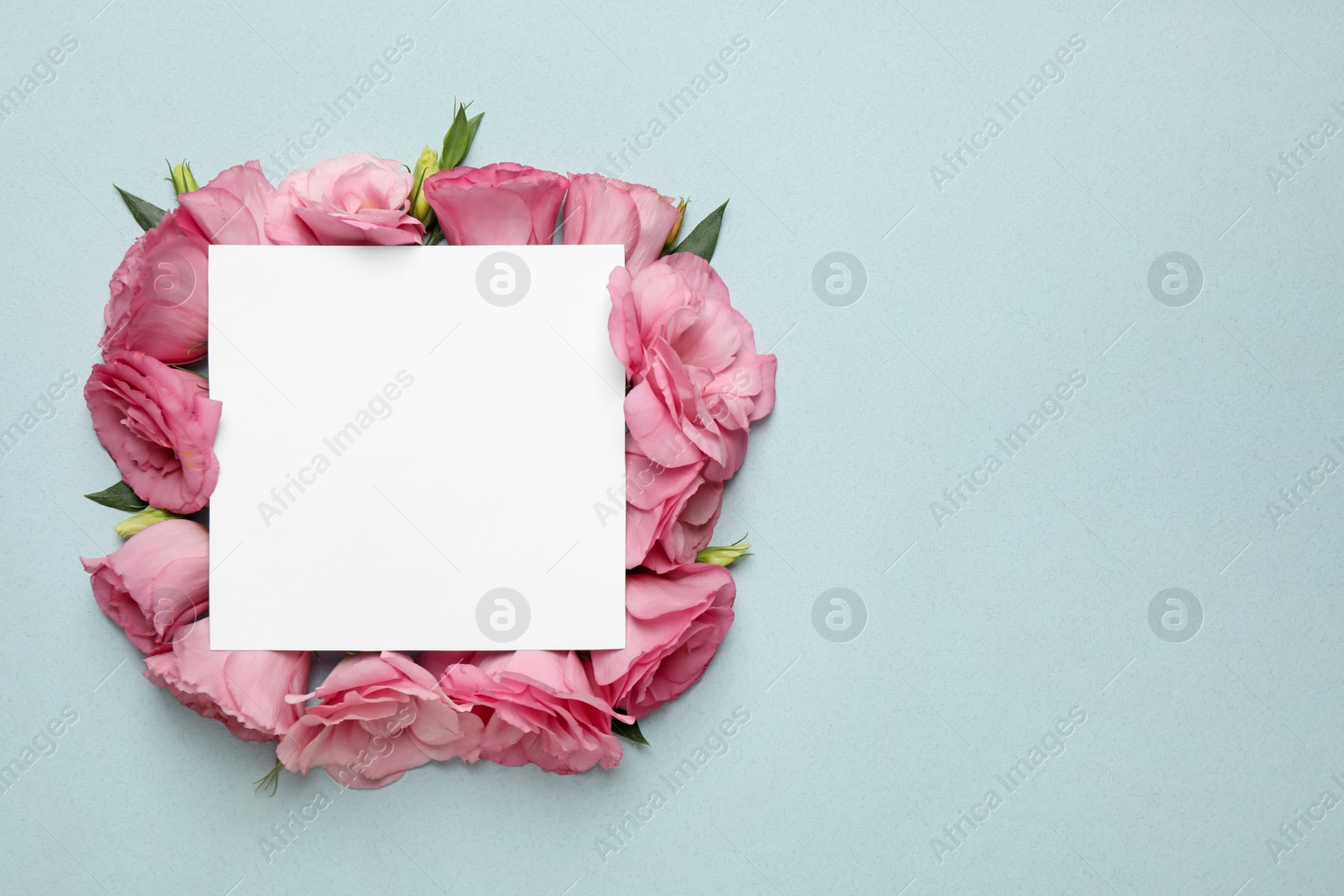 Photo of Beautiful pink Eustoma flowers and card with space for text on light background, flat lay