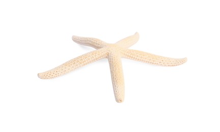 Photo of Beautiful sea star (starfish) isolated on white