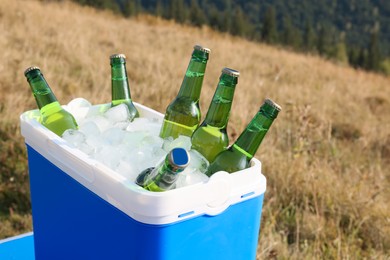 Cool box with bottles of beer in nature