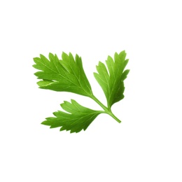 Photo of Fresh green organic parsley on white background