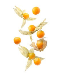 Ripe orange physalis fruits with calyx falling on white background