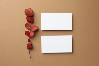 Photo of Blank business cards and red eucalyptus branch on beige background, flat lay. Mockup for design
