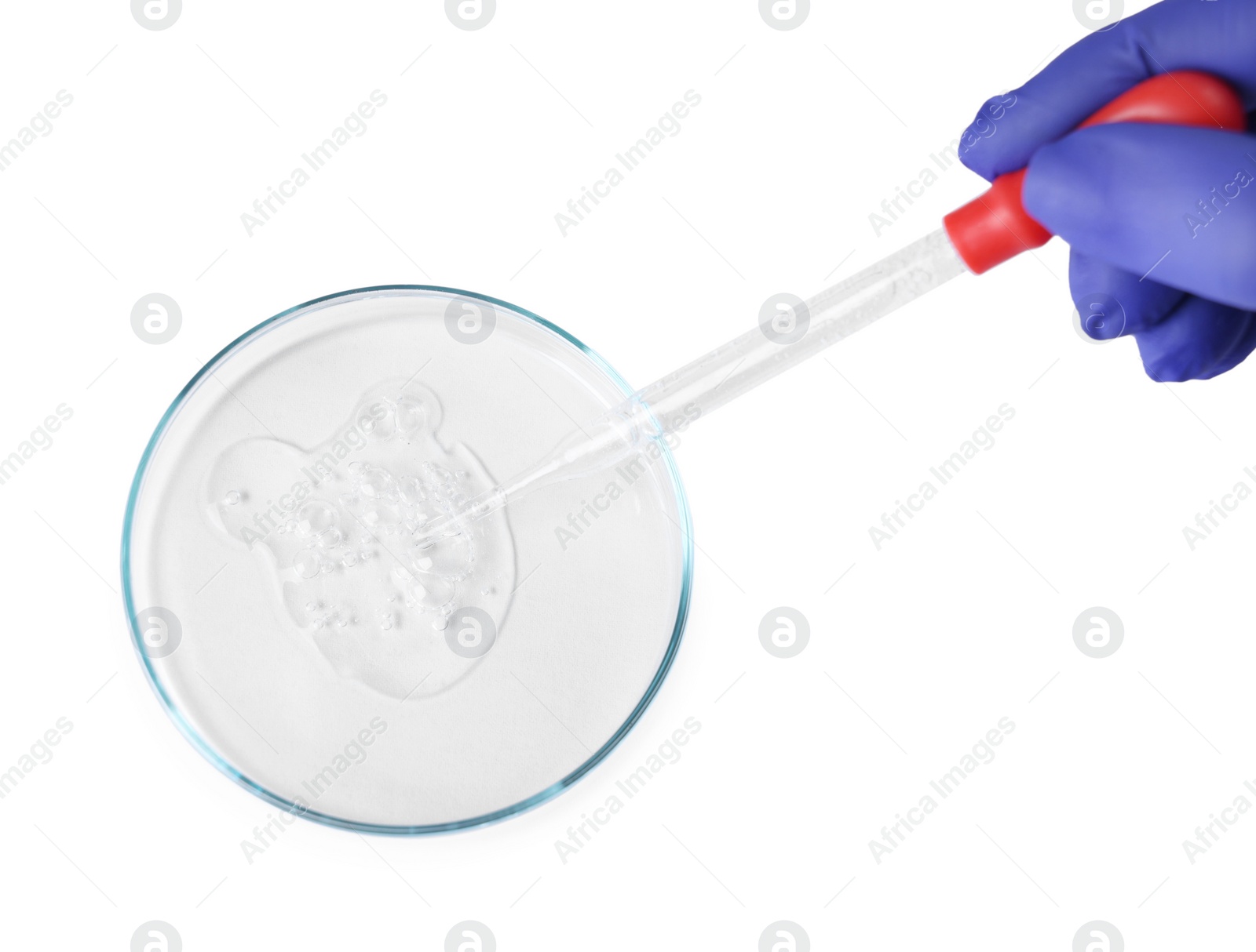 Photo of Scientist dripping liquid from pipette into petri dish on white background, top view