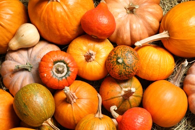 Photo of Many fresh ripe pumpkins as background, top view. Holiday decoration