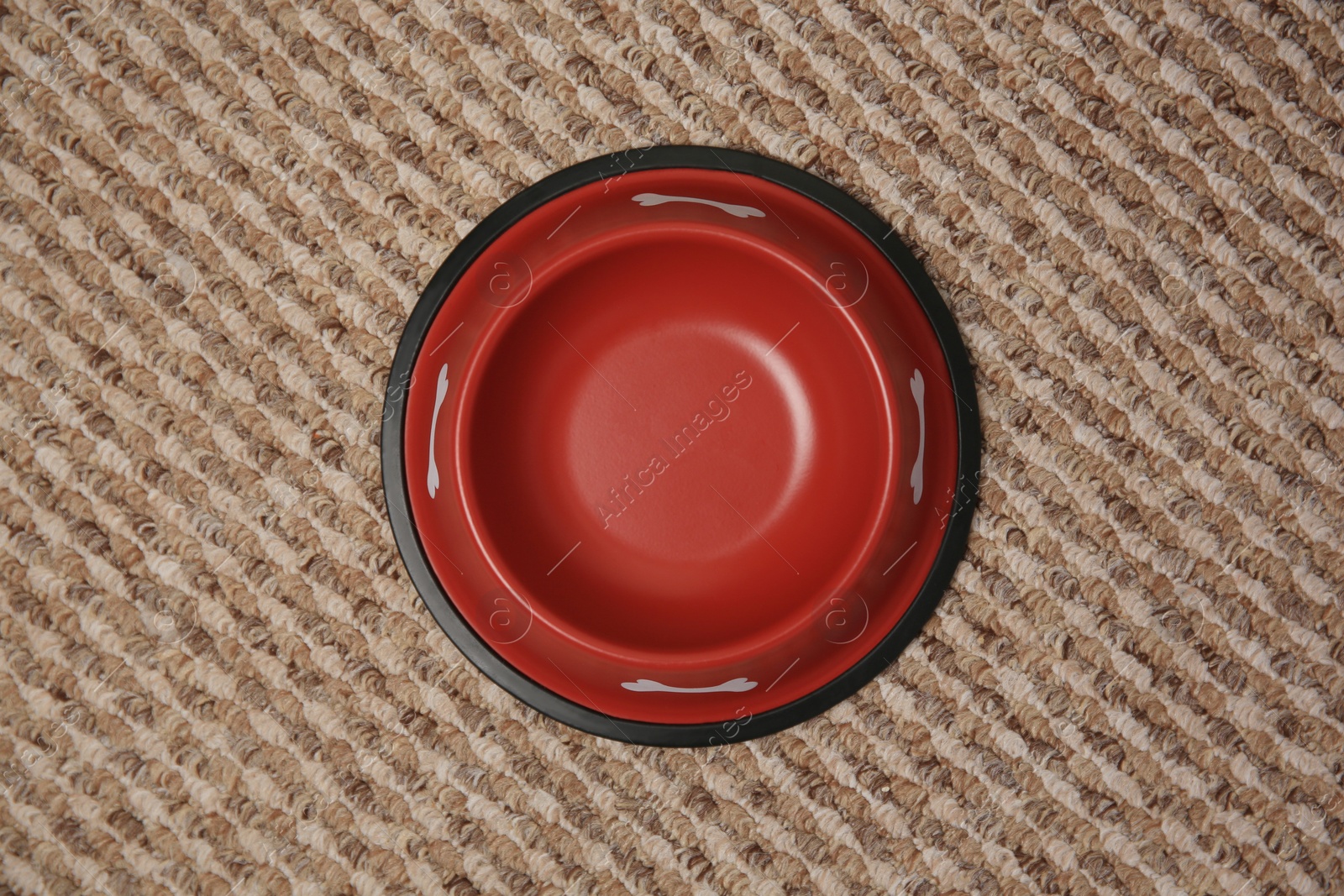 Photo of Empty red feeding bowl on soft carpet, top view