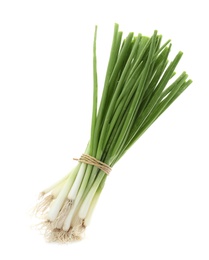 Tied fresh green onion on white background