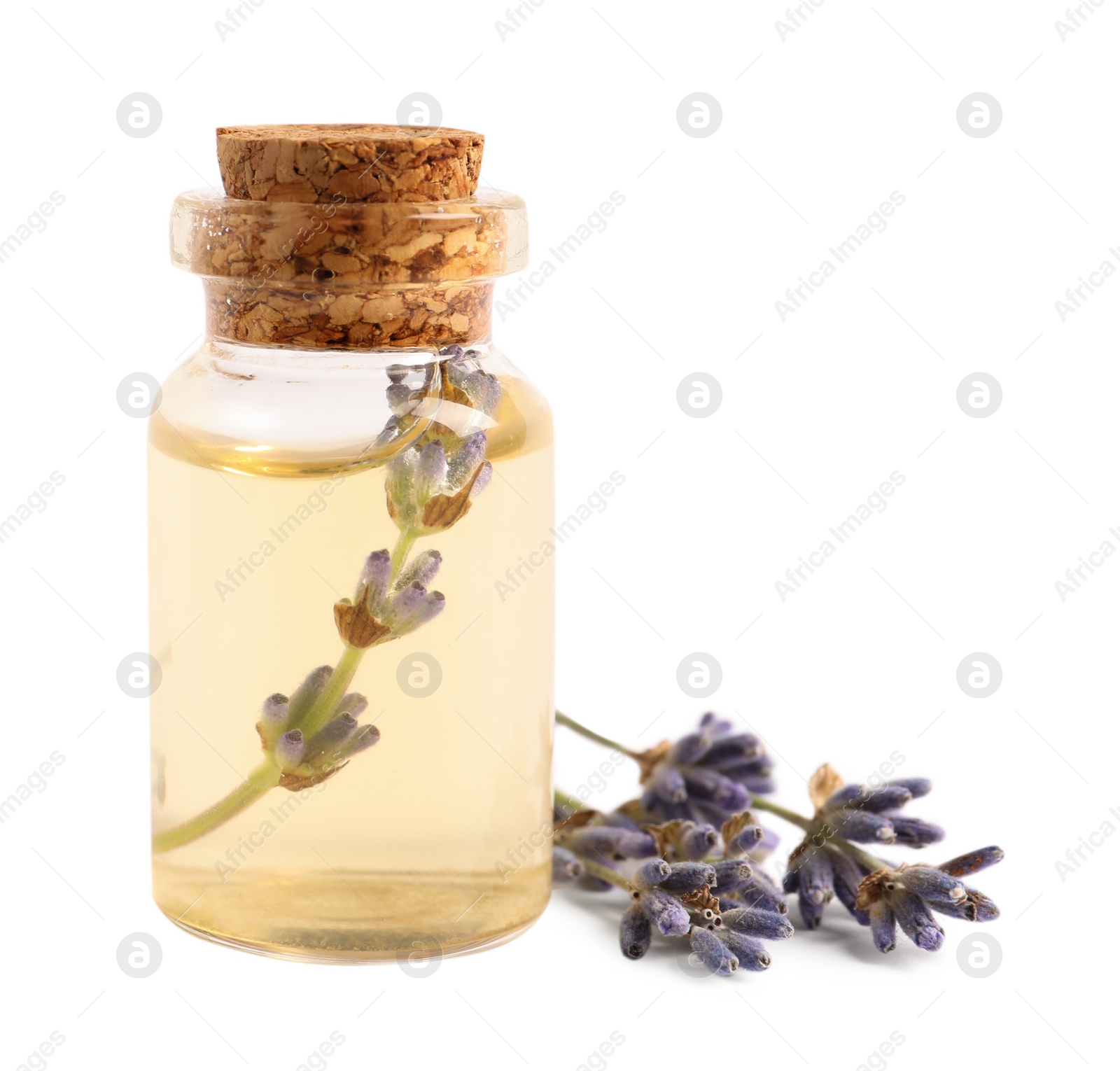 Photo of Bottle of essential oil and lavender flowers on white background