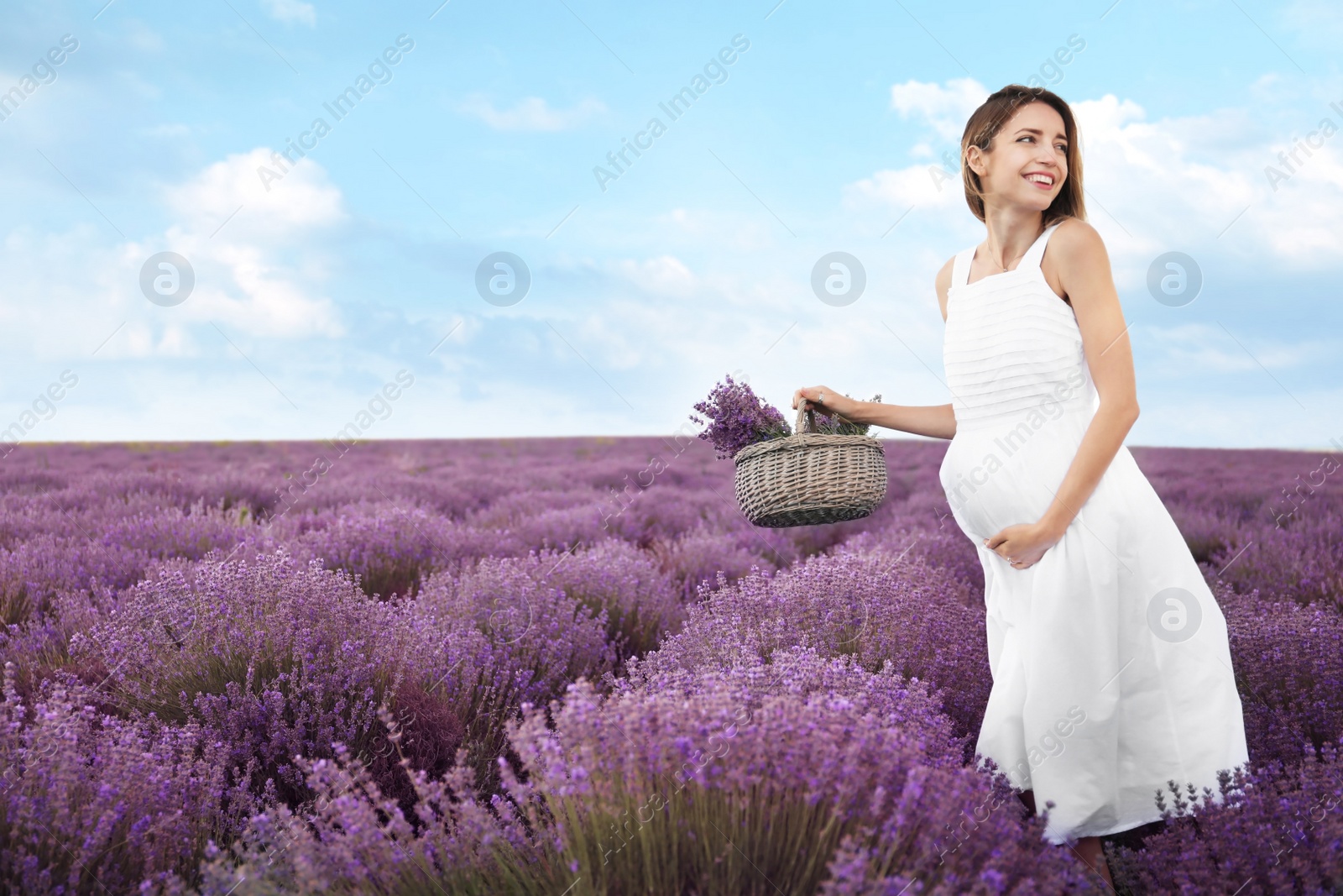 Photo of Pregnant woman in lavender field on summer day