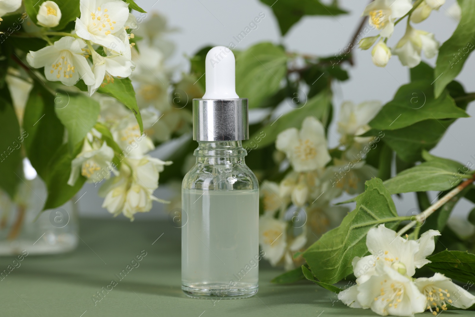 Photo of Essential oil in bottle and beautiful jasmine flowers on pale green background, closeup