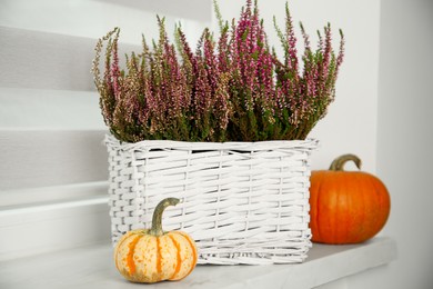Photo of Beautiful heather flowers in basket and pumpkins on windowsill indoors
