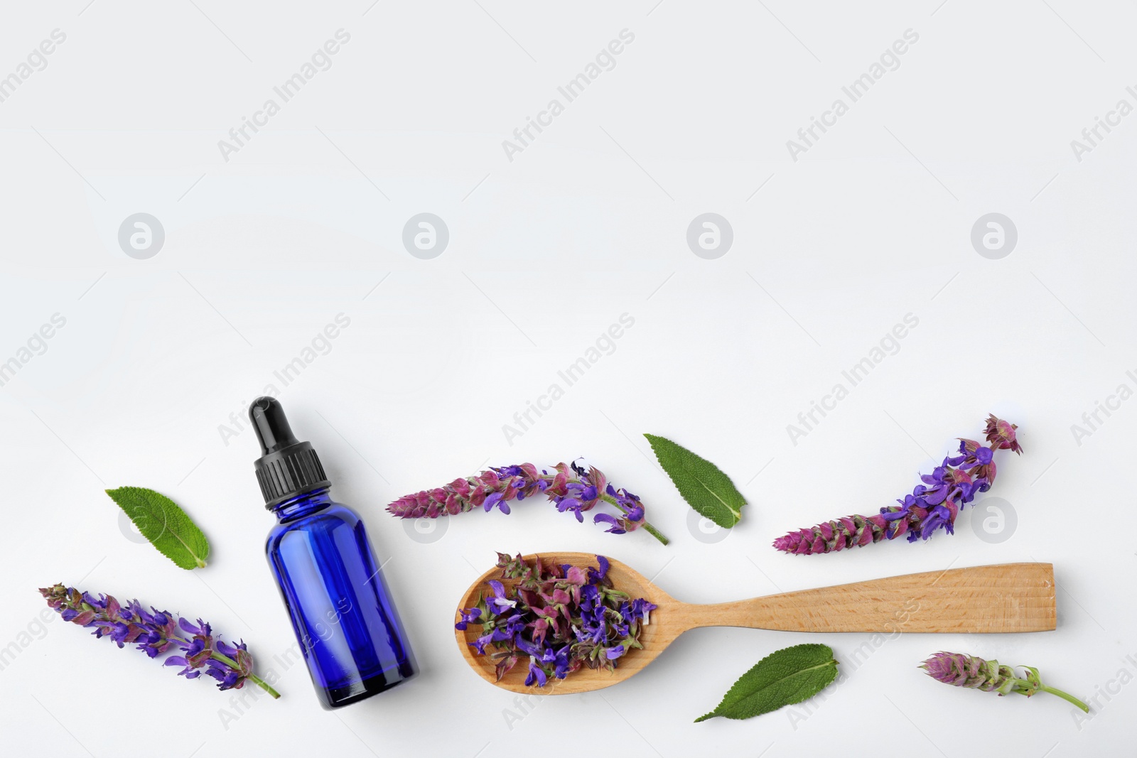 Photo of Composition with bottle of sage essential oil and flowers on white background, top view