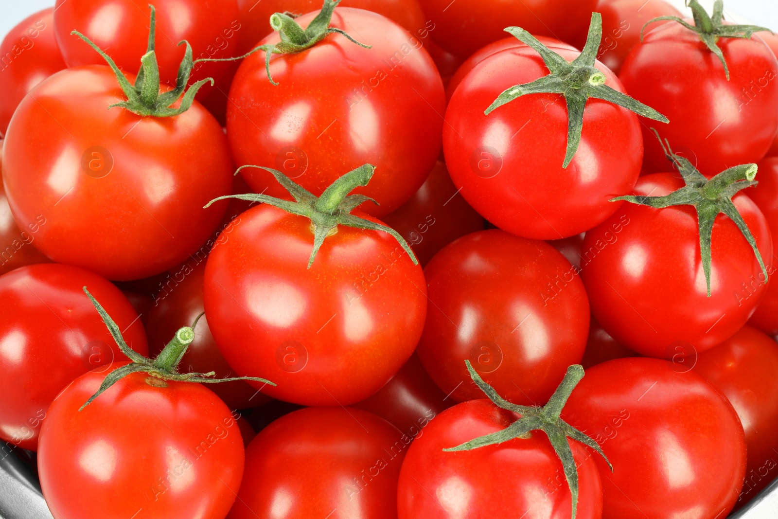 Photo of Many fresh ripe cherry tomatoes, closeup view