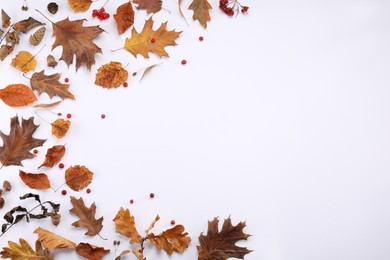 Photo of Dry autumn leaves, cones, acorns and berries on white background, flat lay. Space for text