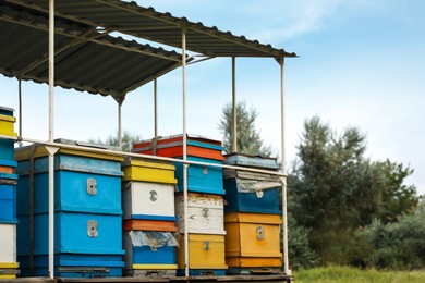 Photo of Many colorful beehives under roof at apiary
