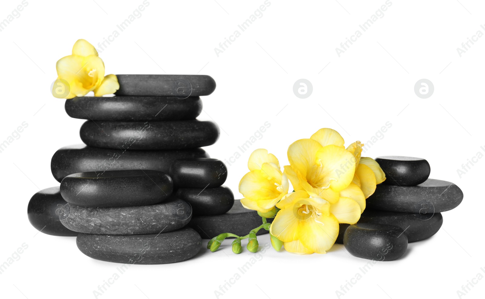 Photo of Stack of black spa stones and fresh flowers isolated on white