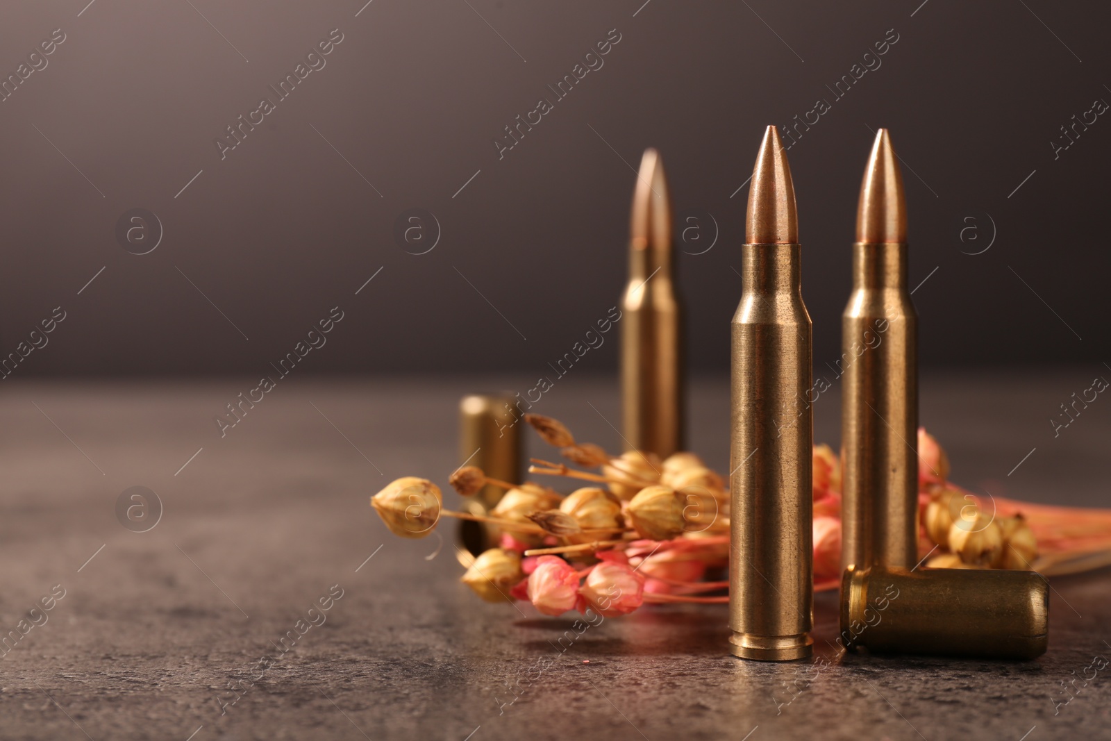 Photo of Bullets and beautiful dry plant on grey textured table. Space for text