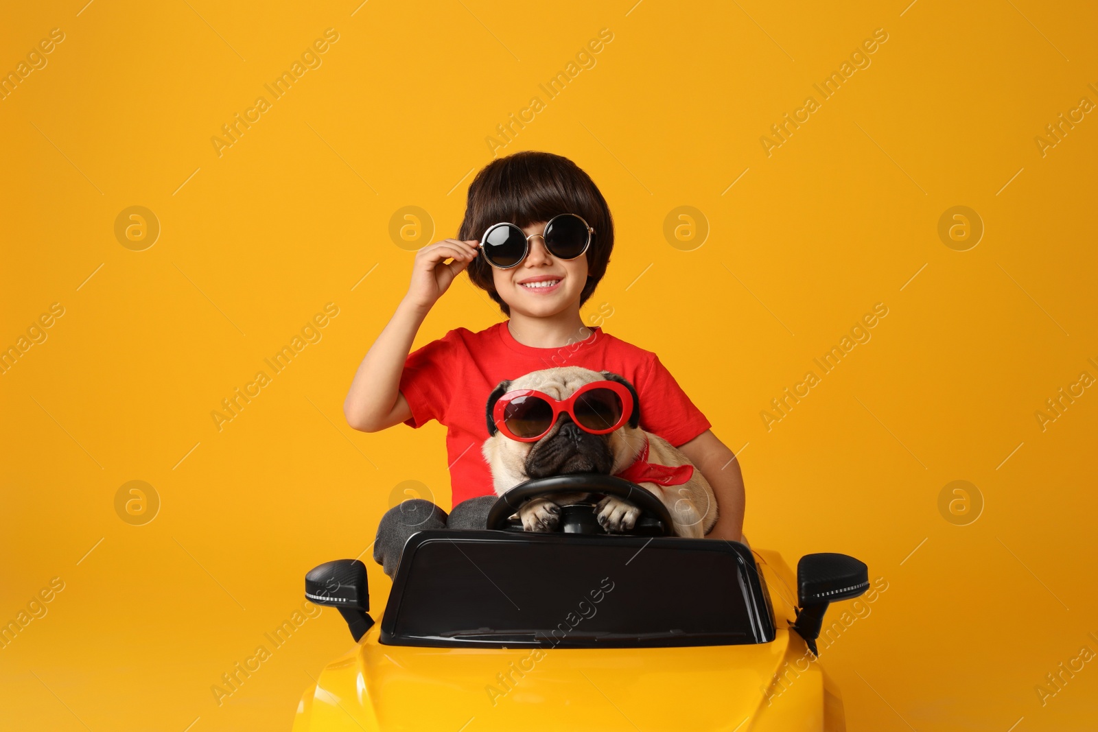 Photo of Little boy with his dog in toy car on yellow background