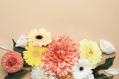 Photo of Flat lay composition with beautiful dahlia flowers on beige background. Space for text