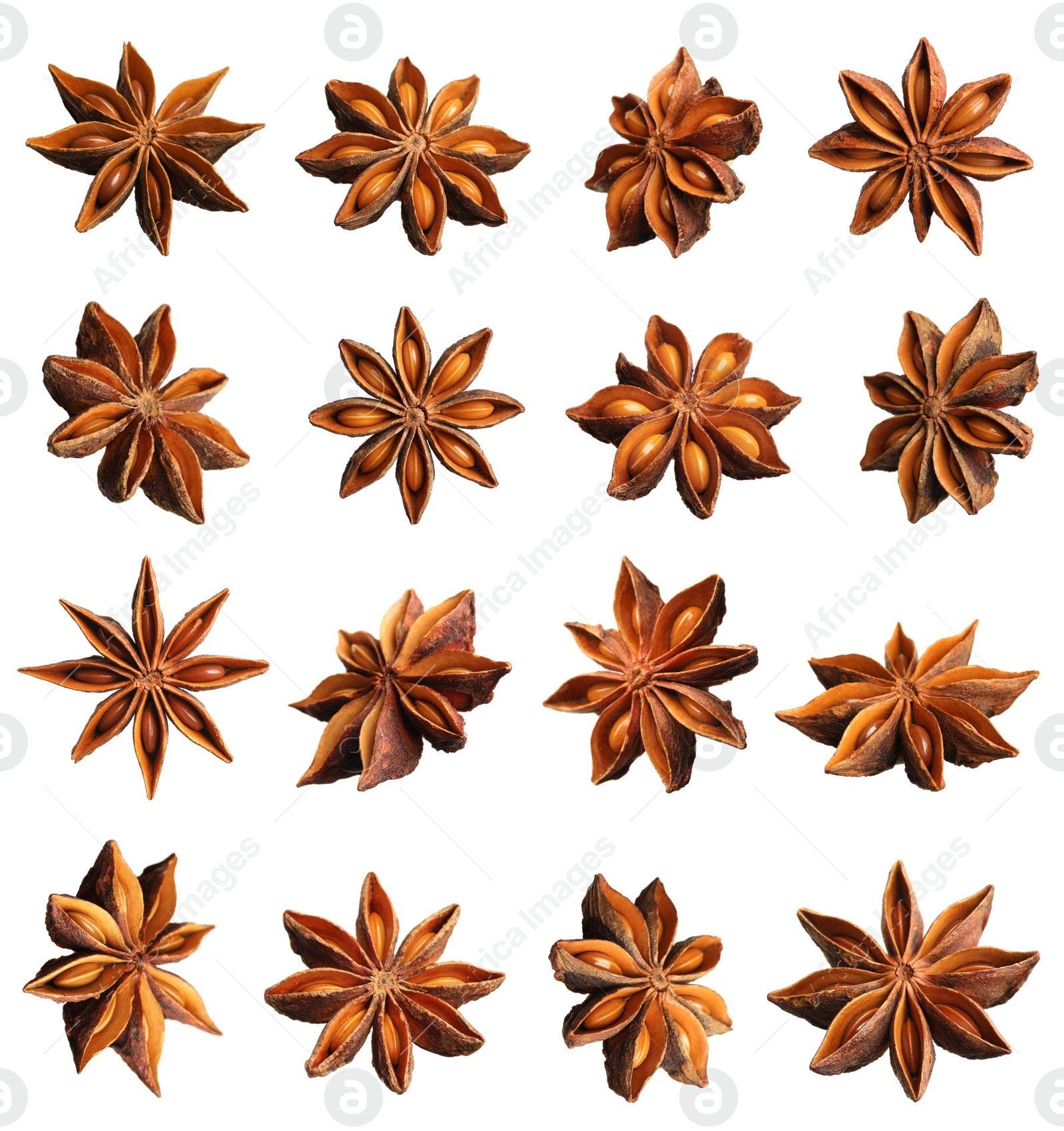 Image of Set with dry anise anise stars on white background