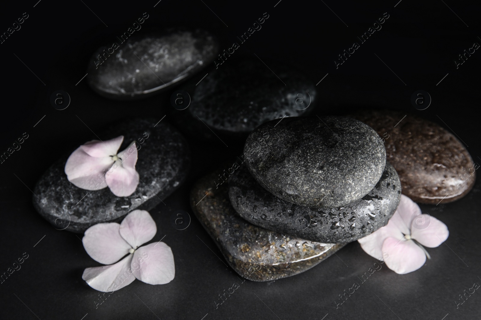 Photo of Stones and flowers in water on grey background. Zen lifestyle