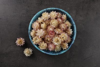 Photo of Bowl with dried strawflowers on grey table, flat lay