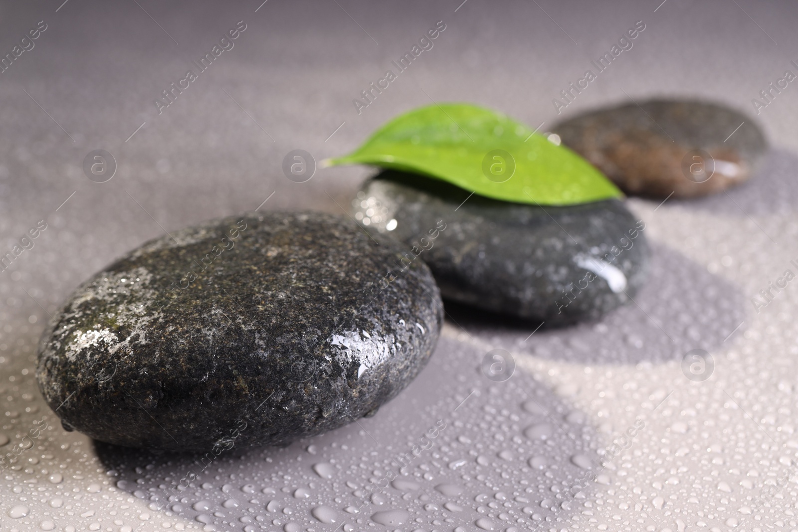 Photo of Wet spa stones and green leaf on grey background