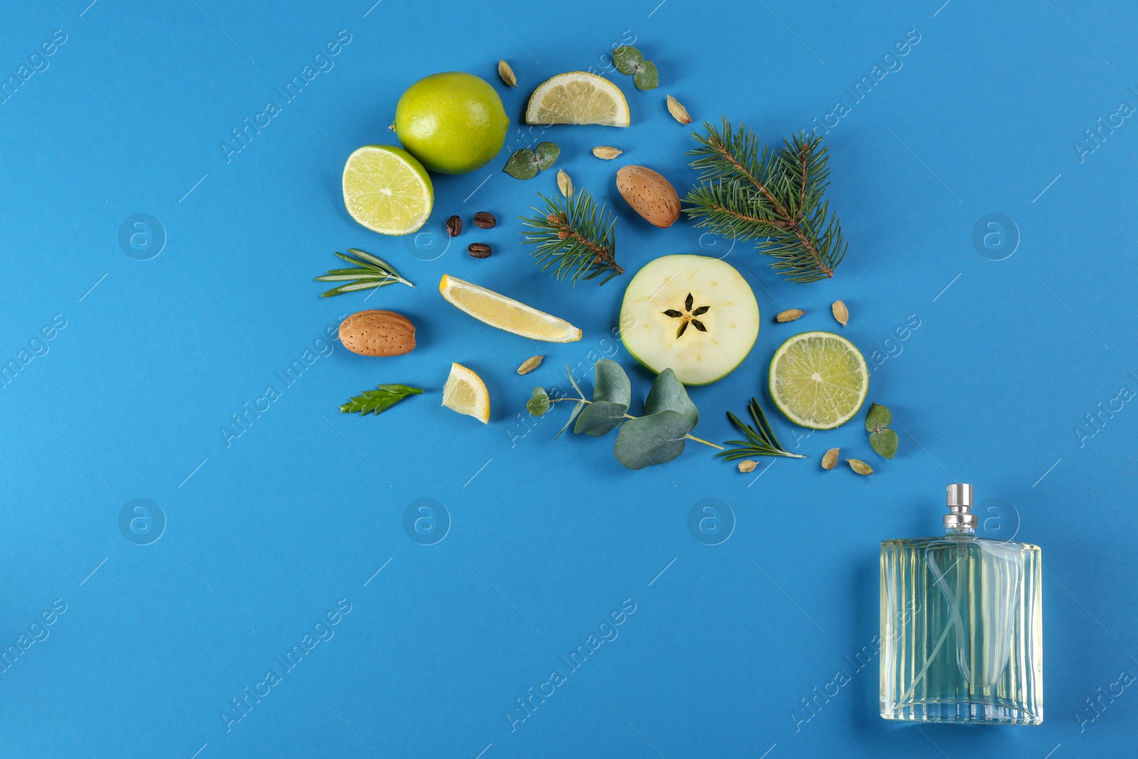 Photo of Flat lay composition with bottle of perfume on blue background