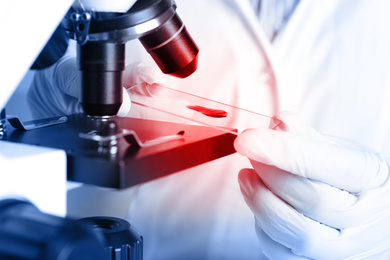 Scientist examining blood sample with microscope, closeup. Laboratory analysis