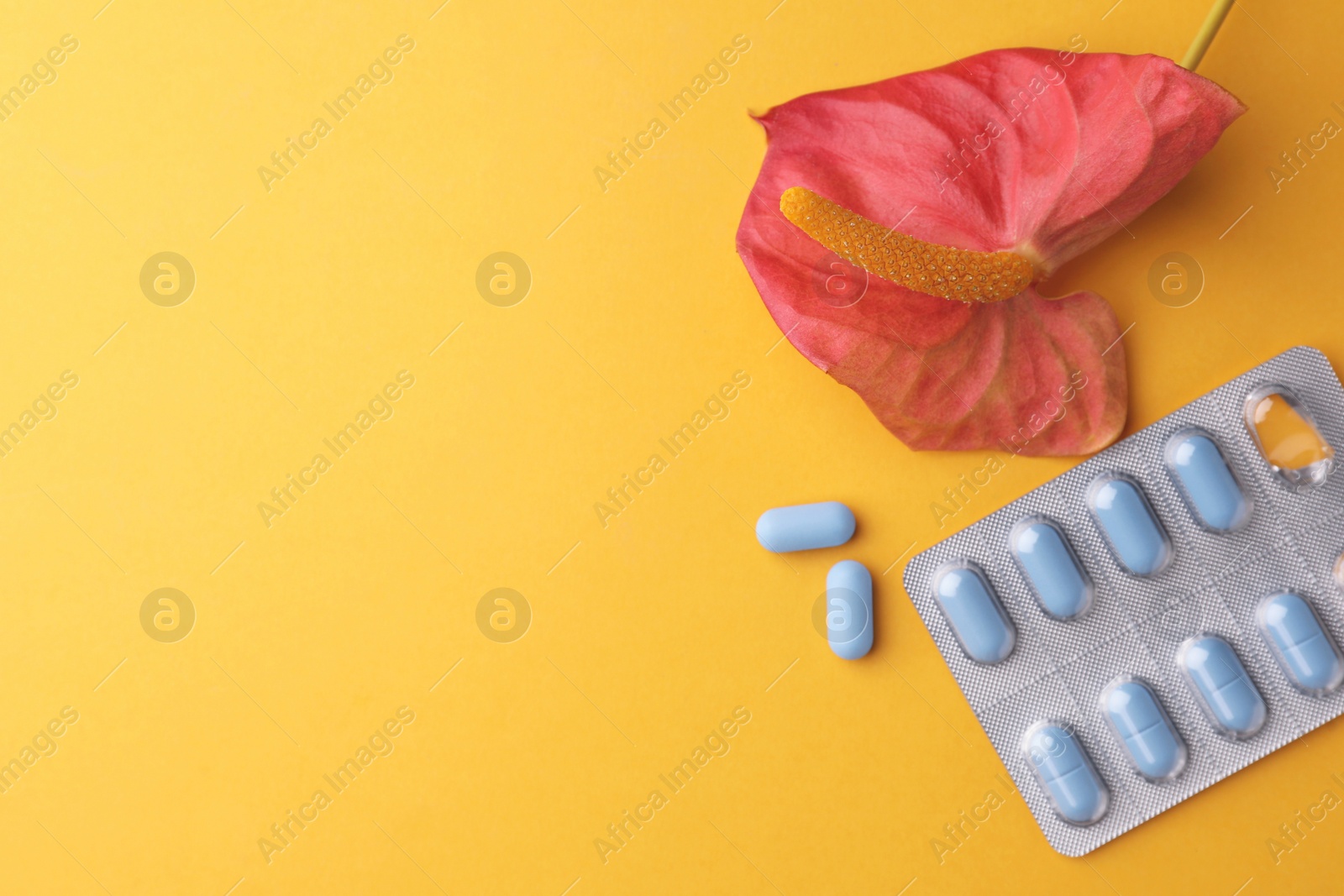 Photo of Anthurium flower symbolizing male sexual organ and pills on orange background, flat lay with space for text. Potency problem