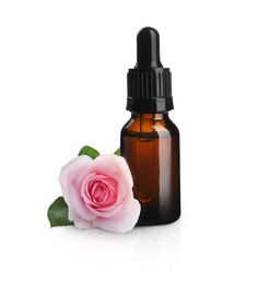 Bottle of rose essential oil and flower on white background