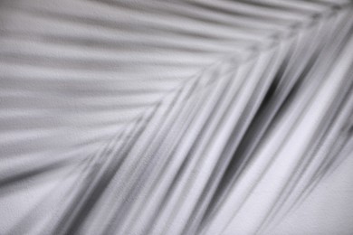 Shadow of tropical palm branch on white wall, closeup