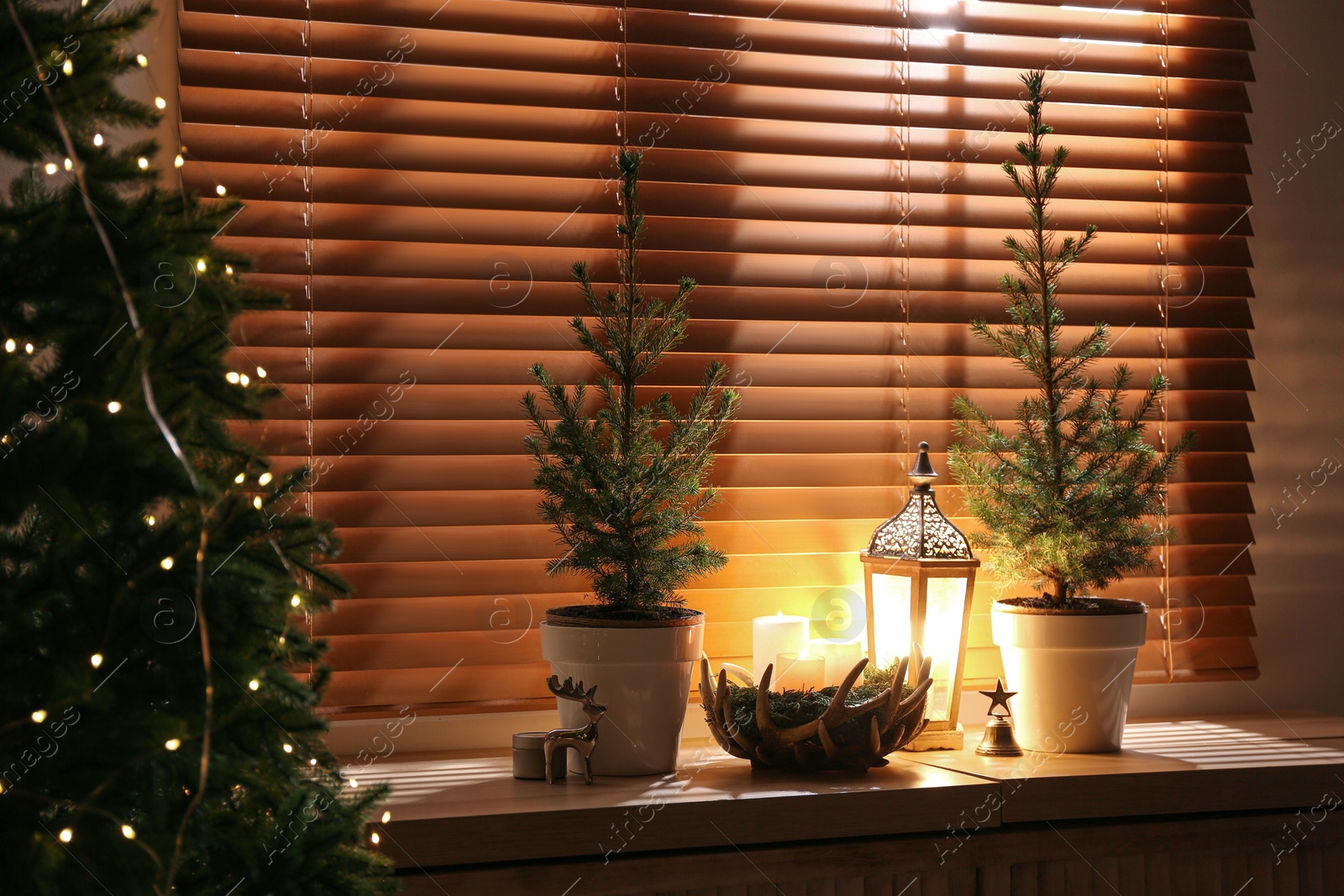 Photo of Beautiful room interior decorated with potted firs