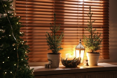 Beautiful room interior decorated with potted firs