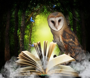 Beautiful wise owl near book in fantasy world