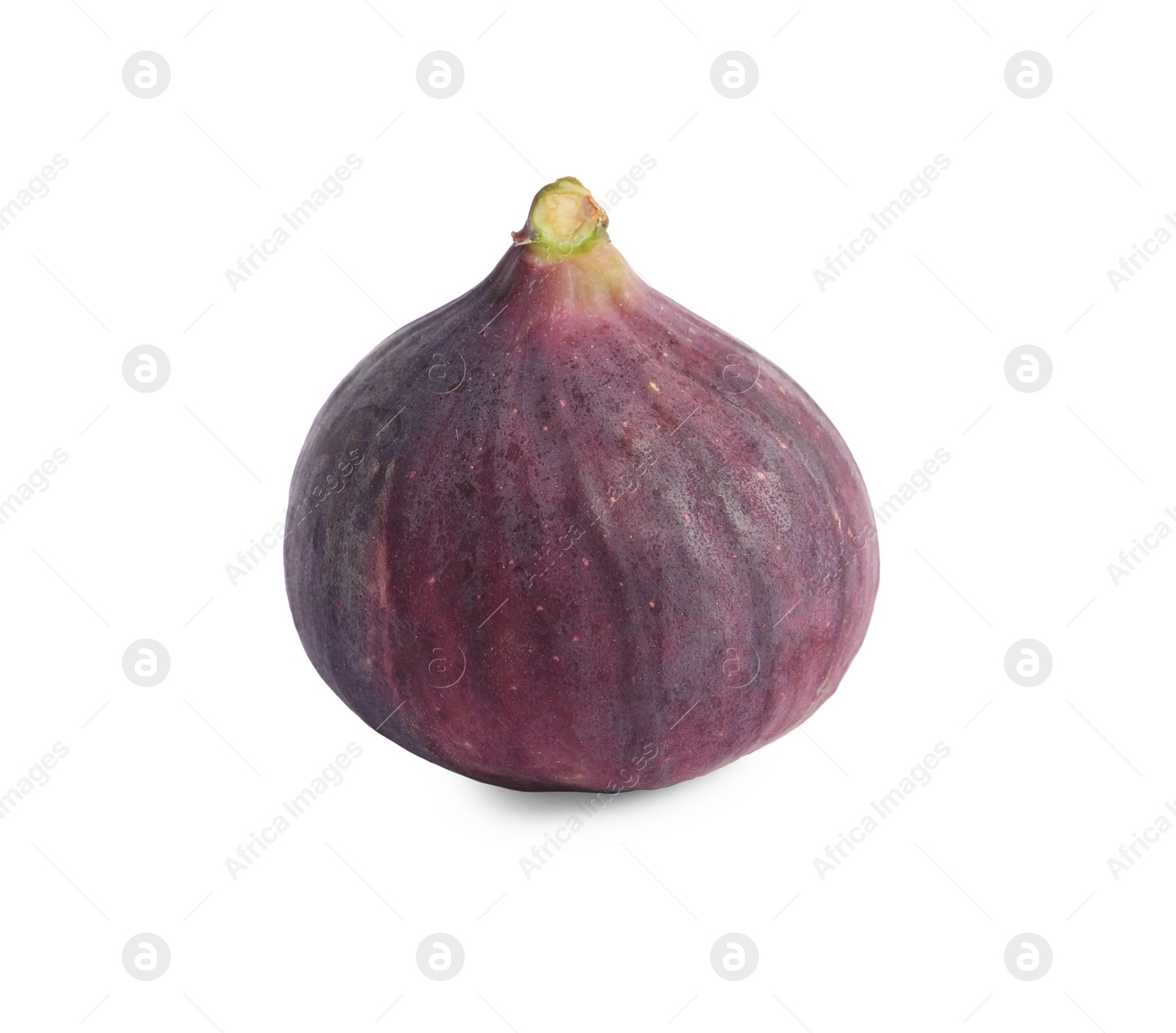 Photo of Whole ripe fresh fig isolated on white