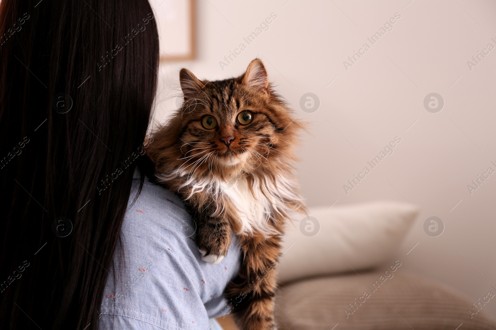 Photo of Woman with her cute cat at home, closeup. Fluffy pet