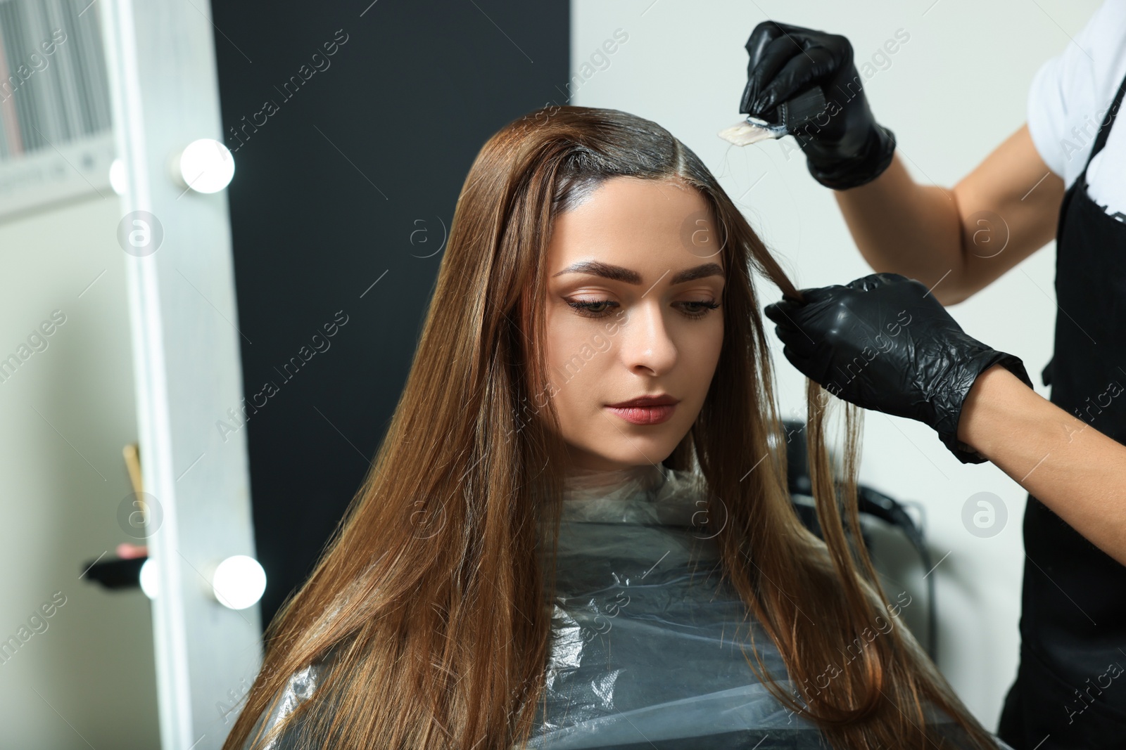 Photo of Professional hairdresser dyeing client's hair in beauty salon