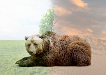 Double exposure of bear and natural scenery depicting environmental pollution