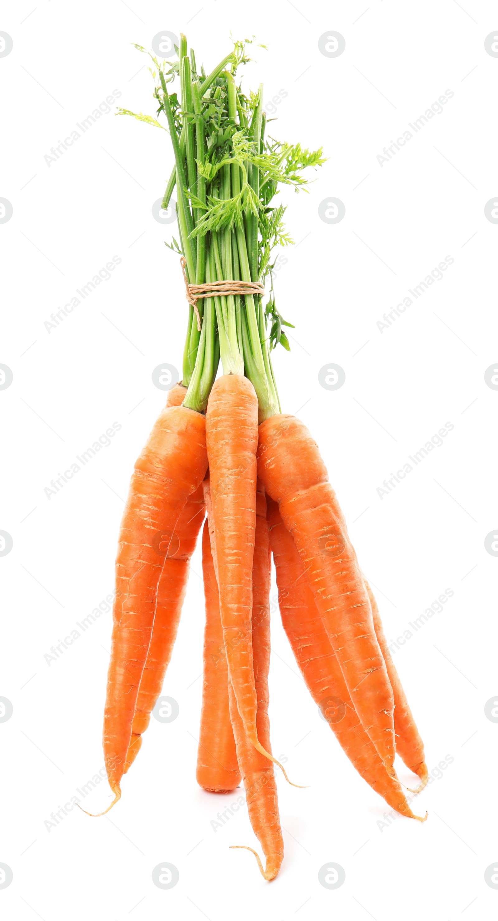 Photo of Ripe fresh carrots on white background