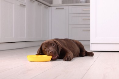 Photo of Cute chocolate Labrador Retriever puppy with feeding bowl on floor indoors. Lovely pet