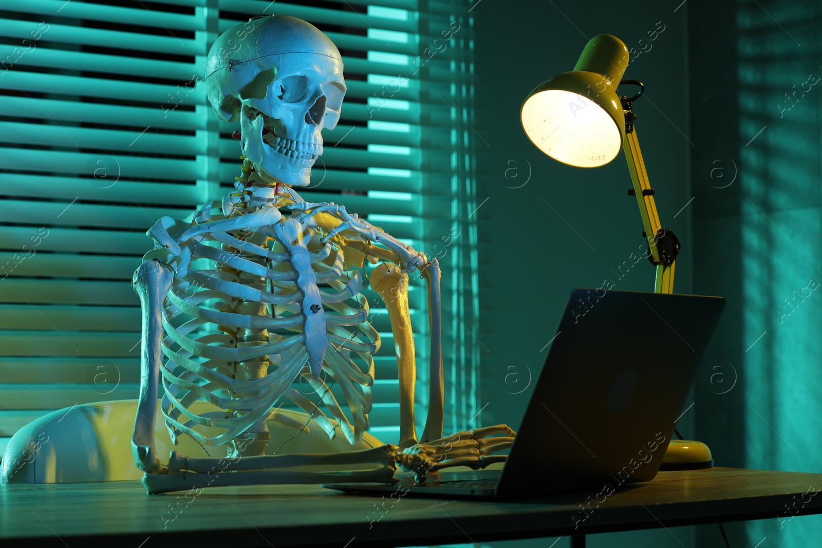 Photo of Waiting concept. Human skeleton sitting at wooden table with laptop indoors